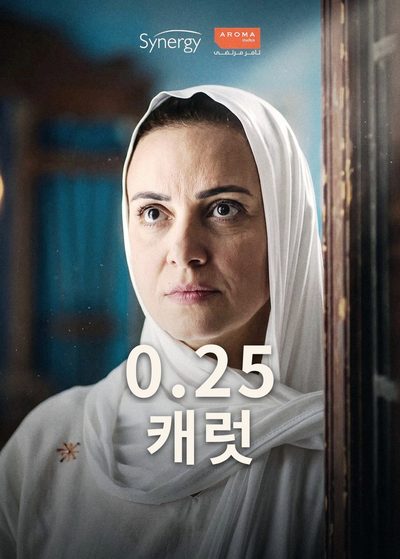 0.25캐럿