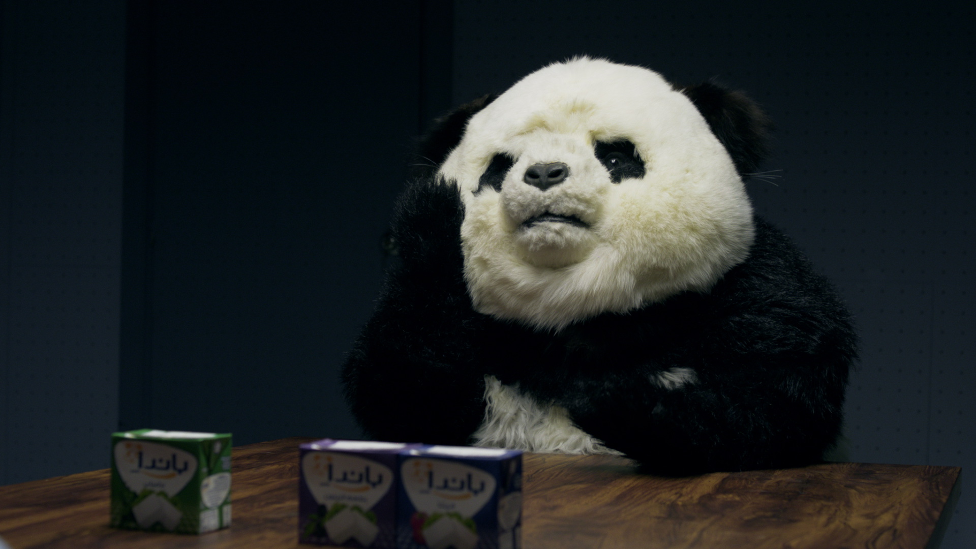Panda Campaign – Celebrity